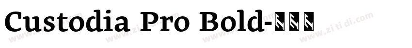 Custodia Pro Bold字体转换